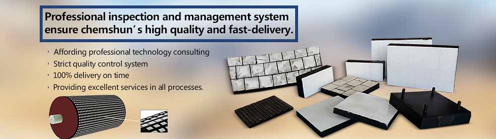 Professional inspection and management system.